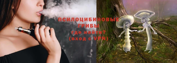ГАЛЛЮЦИНОГЕННЫЕ ГРИБЫ Баксан