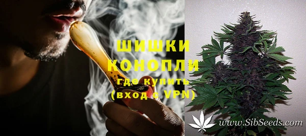 ГАЛЛЮЦИНОГЕННЫЕ ГРИБЫ Баксан
